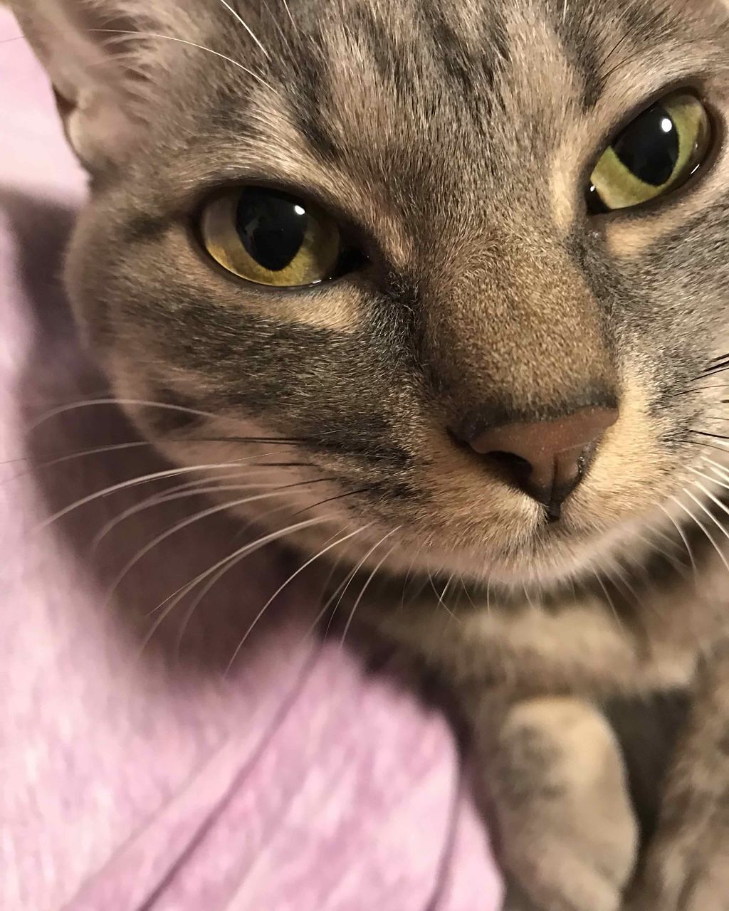 sa11y on LIPS 「すみません!みなさんからいただいたコメント、お返事をぜんぜん返..」(1枚目)