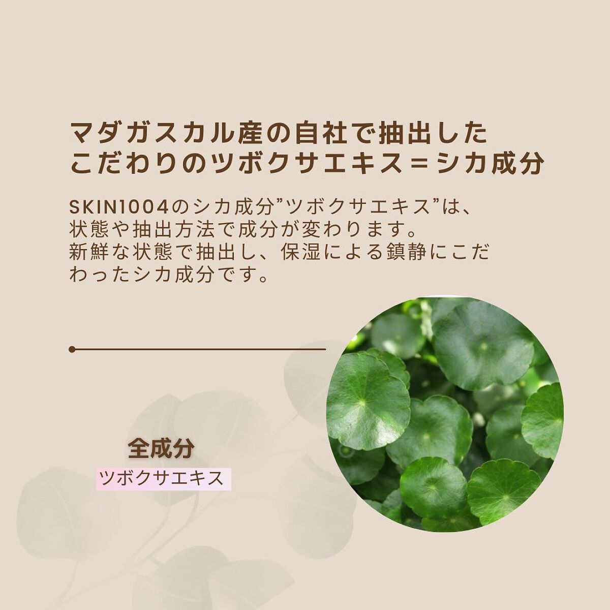 センテラ アンプル/SKIN1004/美容液を使ったクチコミ(4枚目)