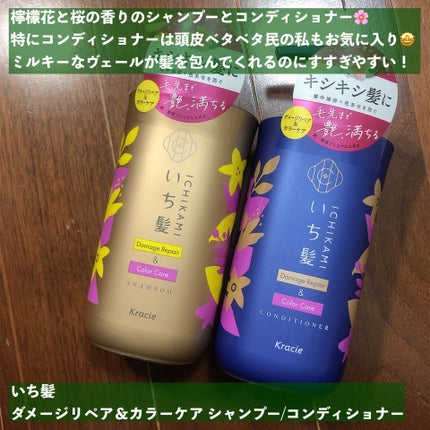 ダメージリペア&カラーケア シャンプー/コンディショナー/いち髪/市販シャンプーを使ったクチコミ(2枚目)