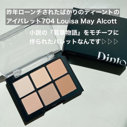 ブラーフィニシュシャドウパレット/Dinto/アイシャドウパレットを使ったクチコミ(2枚目)