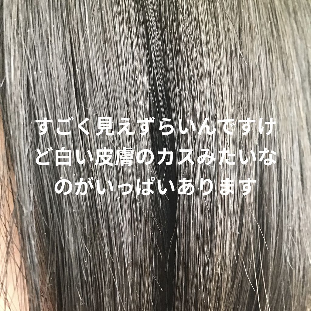 コンパクトスタイラー/TANGLE TEEZER/ヘアブラシを使ったクチコミ（1枚目）