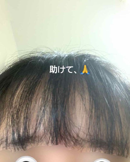 さらとろライスオイル(洗い流さないトリートメント)/WANOMI/ヘアオイルを使ったクチコミ(1枚目)