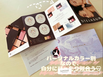 フィット my カラーパレット/STEIASUR(ステイアシュール)/マルチパレットを使ったクチコミ(4枚目)