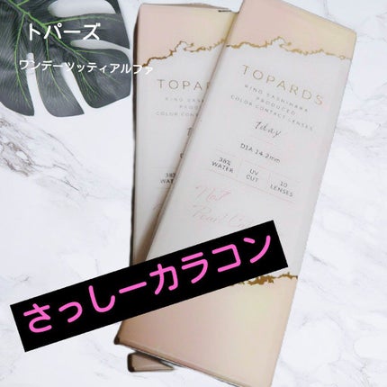 TOPARDS 1day/TOPARDS/ワンデー(1DAY)カラコンを使ったクチコミ(2枚目)