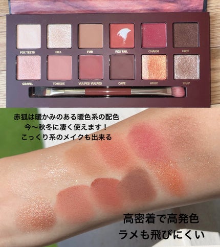 エクスプローラ12色 動物アイシャドウパレット/PERFECT DIARY/アイシャドウパレットを使ったクチコミ(3枚目)