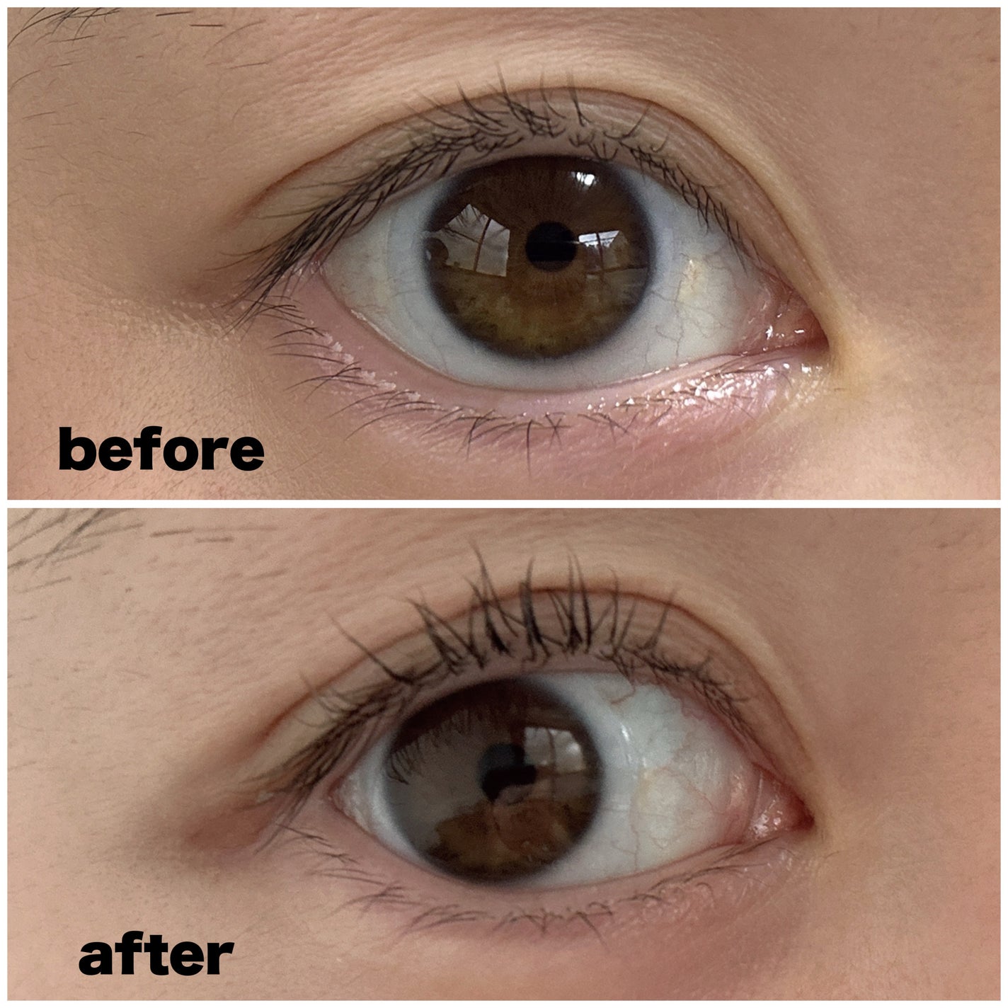 低刺激セルフまつげパーマ9種セット/EYE2IN/その他キットセットを使ったクチコミ(3枚目)