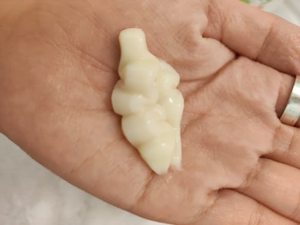 ãªã€ã«ã€ã³ã·ã£ã³ããŒïŒãªã€ã«ã€ã³ã³ã³ãã£ã·ã§ã㌠(ã°ãã¹ïŒãªãã¢)/ãã£ã¢ããŒã/åžè²©ã·ã£ã³ããŒã䜿ã£ãã¯ãã³ãïŒ4æç®ïŒ