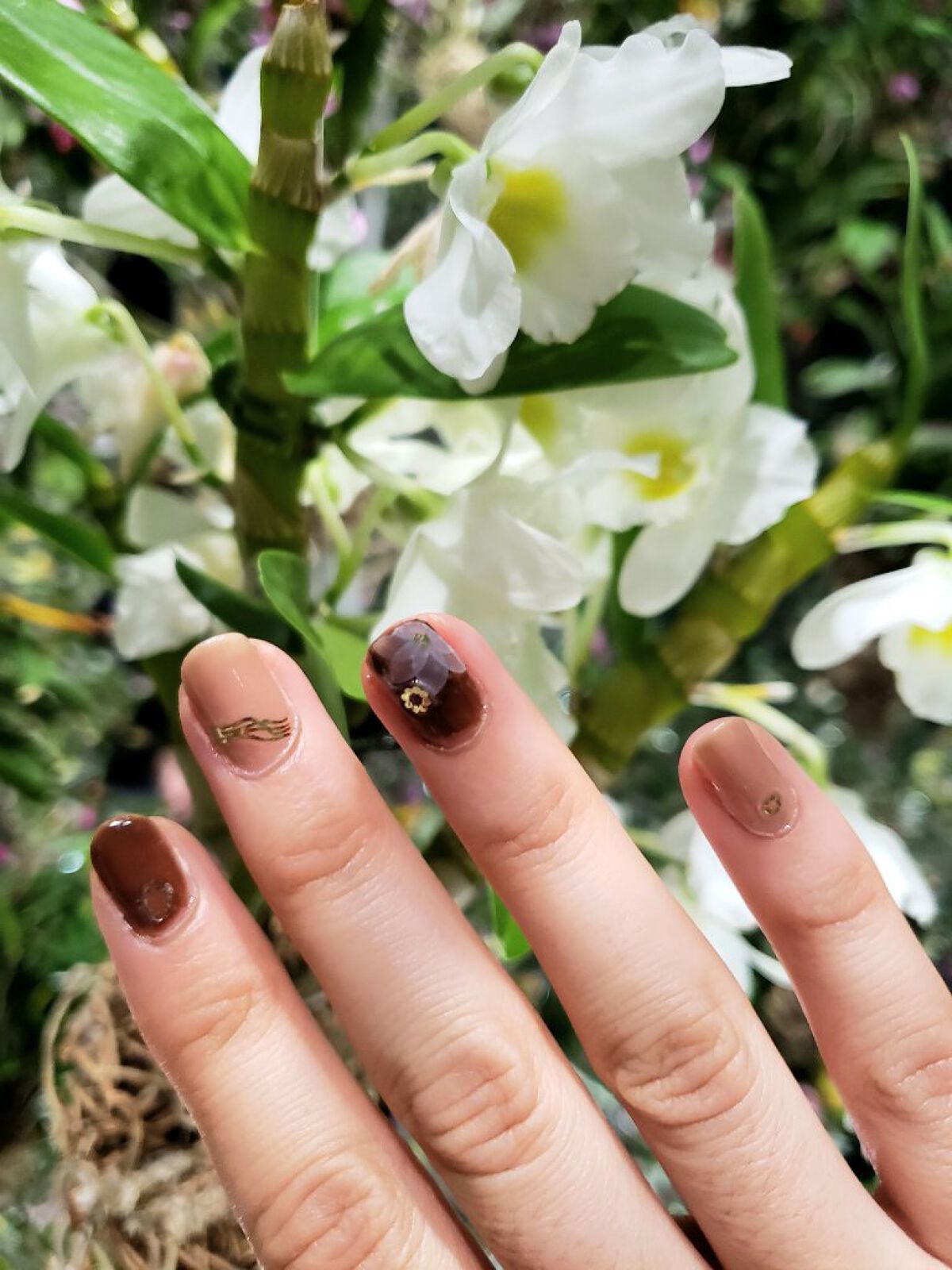 土木系おねいさん on LIPS 「今日のネイル💅ベージュとブラウンをメインに、白い花のシールでナ..」(9枚目)