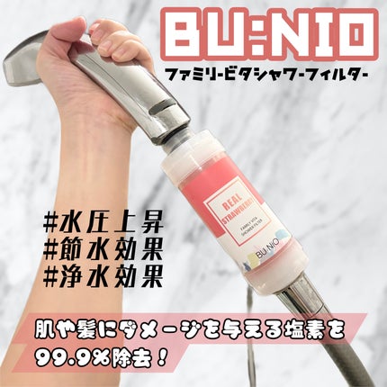 ファミリービタシャワーフィルター/BU:NIO/その他を使ったクチコミ(2枚目)