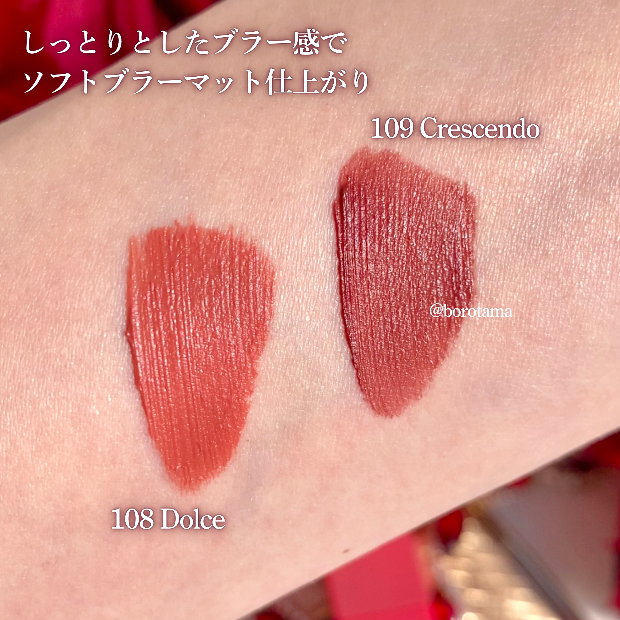 マダムバタフライコレクション ブラーニングリップベール/Dinto/口紅を使ったクチコミ（3枚目）