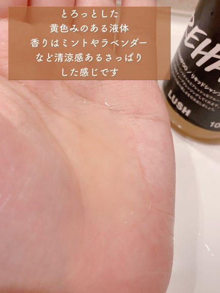 果草力/ラッシュ/市販シャンプーを使ったクチコミ(4枚目)