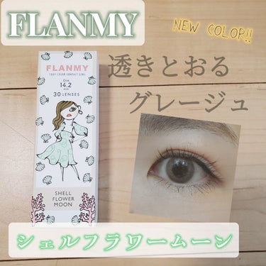 FLANMY 1day（10枚/30枚） シェルフラワームーン/FLANMY/ワンデー（１DAY）カラコンを使ったクチコミ（1枚目）