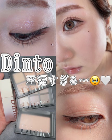 ブラーフィニシュシャドウパレット/Dinto/アイシャドウパレットを使ったクチコミ(1枚目)