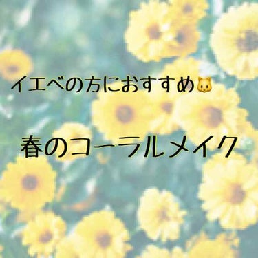 イエべさんにおすすめ🌼
春のコーラルメイク🌻


今回はイエローベースの私の春メイクです！

イエベさんにぴったりの春メイクの色はコーラル系だそうです！

イエベさんはコーラル系のメイクをすると肌を明る