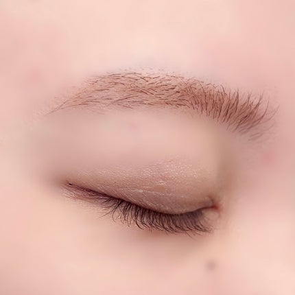 ヴィセ リシェ アイブロウパウダー/Visée/パウダーアイブロウを使ったクチコミ(7枚目)