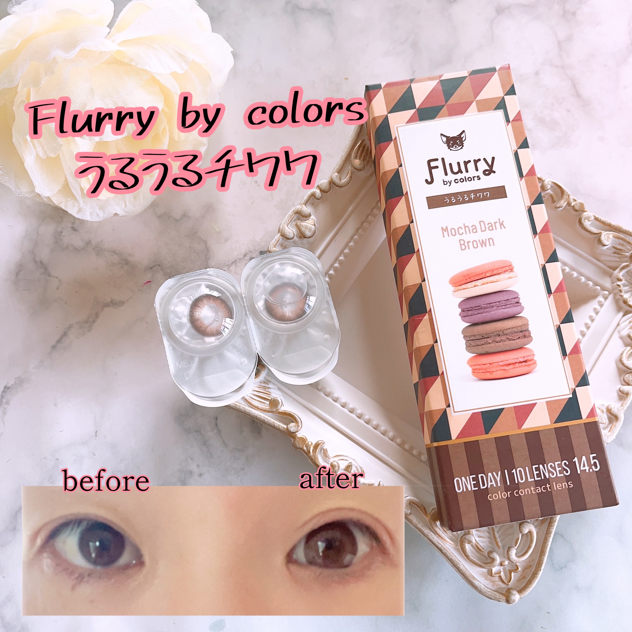 Flurry by colors 1day モカダークブラウン(うるうるチワワ)/Flurry by colors/ワンデー（１DAY）カラコンを使ったクチコミ（1枚目）