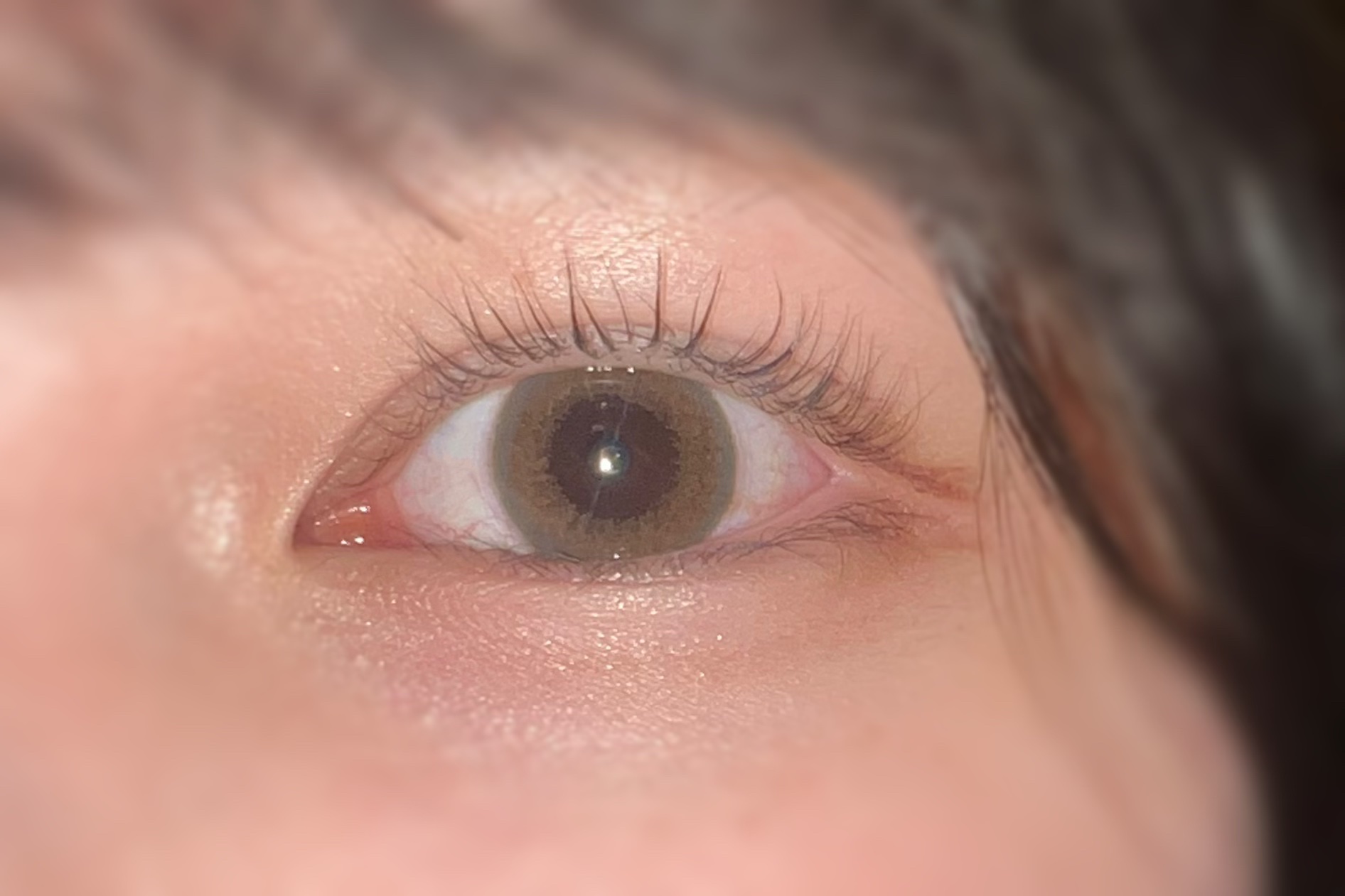 セレクトフェアリー ユーザーセレクト ワンデー Citrus Brown/FAIRY/ワンデー（１DAY）カラコンを使ったクチコミ（2枚目）