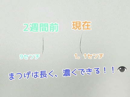 アヴァンセ ラッシュセラム EX(医薬部外品)/アヴァンセ/その他を使ったクチコミ(1枚目)