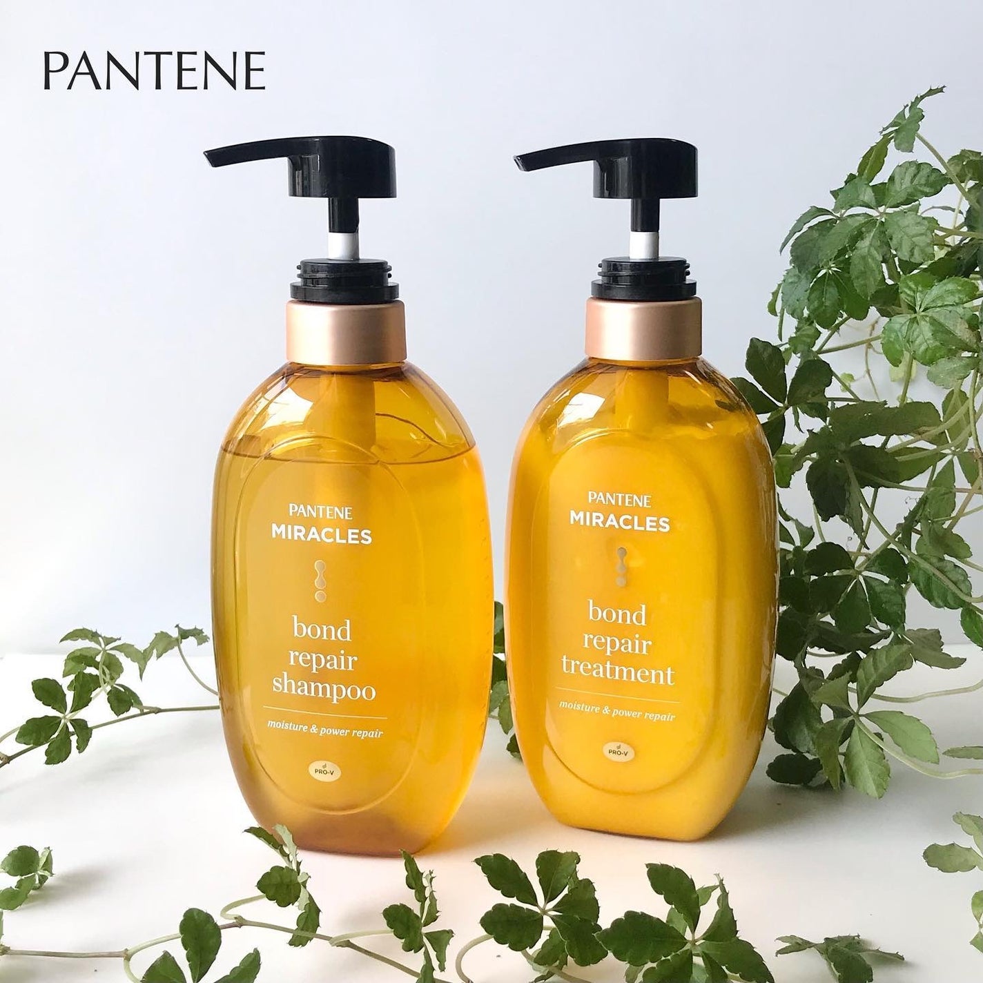 ボンドリペアシリーズ モイスチャー&パワーリペア シャンプー&トリートメント/パンテーン/市販シャンプーを使ったクチコミ(1枚目)