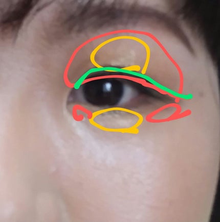 カレンデュラアイシャドウリキッド/SHIRO/リキッドアイシャドウを使ったクチコミ(3枚目)