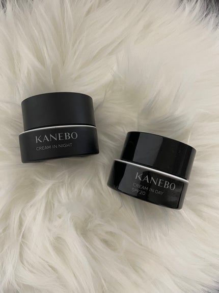 クリーム イン デイ/KANEBO/フェイスクリームを使ったクチコミ(1枚目)