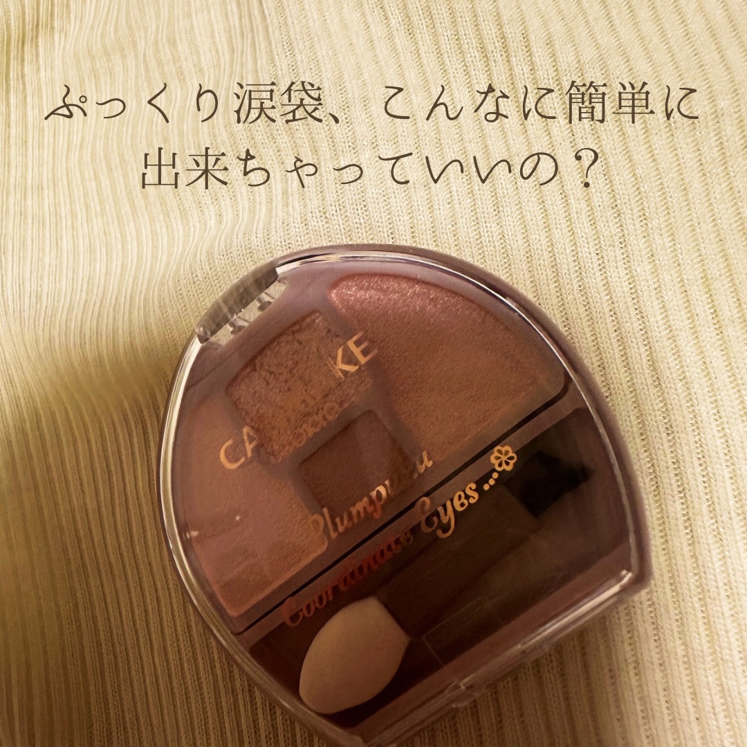 プランぷくコーデアイズ/キャンメイク/パウダーアイシャドウを使ったクチコミ（1枚目）