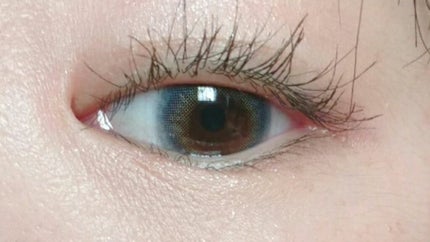 TOPARDS 1day/TOPARDS/ワンデー(1DAY)カラコンを使ったクチコミ(3枚目)