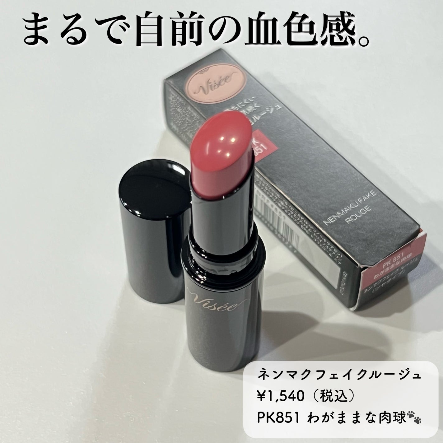 ネンマクフェイク ルージュ/Visée/口紅を使ったクチコミ(1枚目)