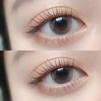 i-shaアイシャ Season Eye ウインター/蜜のレンズ/カラーコンタクトレンズの画像