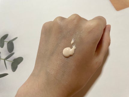 スキンケアUV下地/なめらか本舗/化粧下地を使ったクチコミ(2枚目)