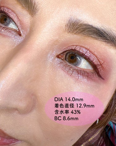 プロ アイ パレット 05 RUSTED ROSE/CLIO/アイシャドウパレットの画像