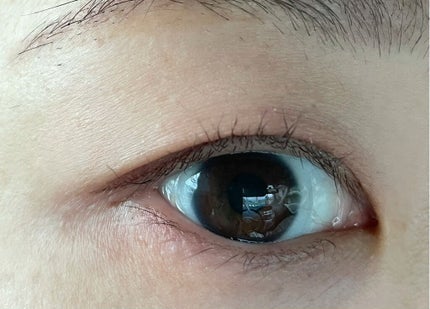 「密着アイライナー」しなやか筆リキッド/デジャヴュ/リキッドアイライナーを使ったクチコミ(3枚目)