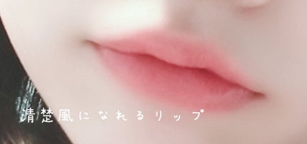 ラスティンググロスリップ/CEZANNE/口紅を使ったクチコミ(3枚目)