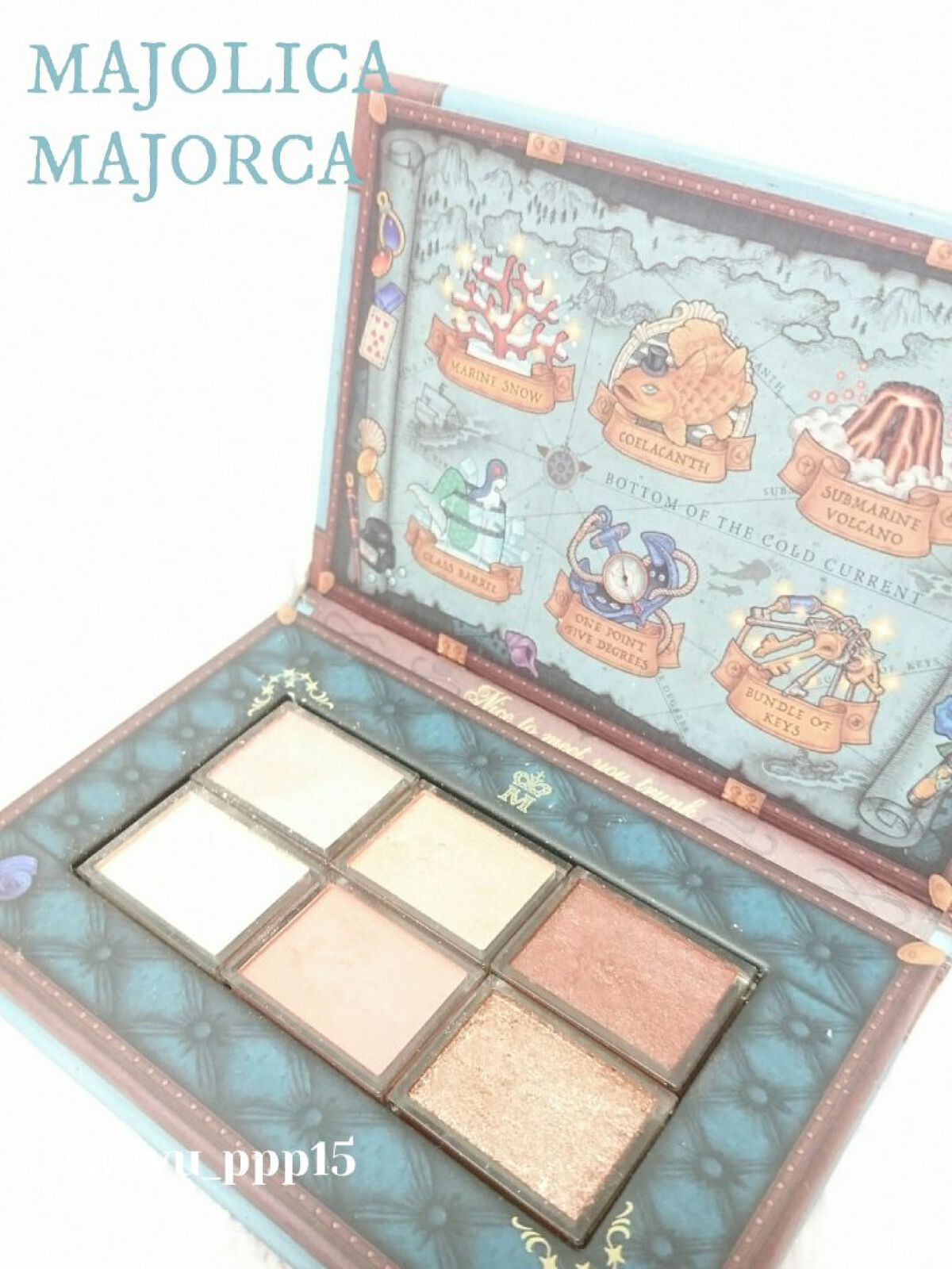 ナイストゥミーチュートランク/MAJOLICA MAJORCA/アイシャドウパレットを使ったクチコミ(1枚目)