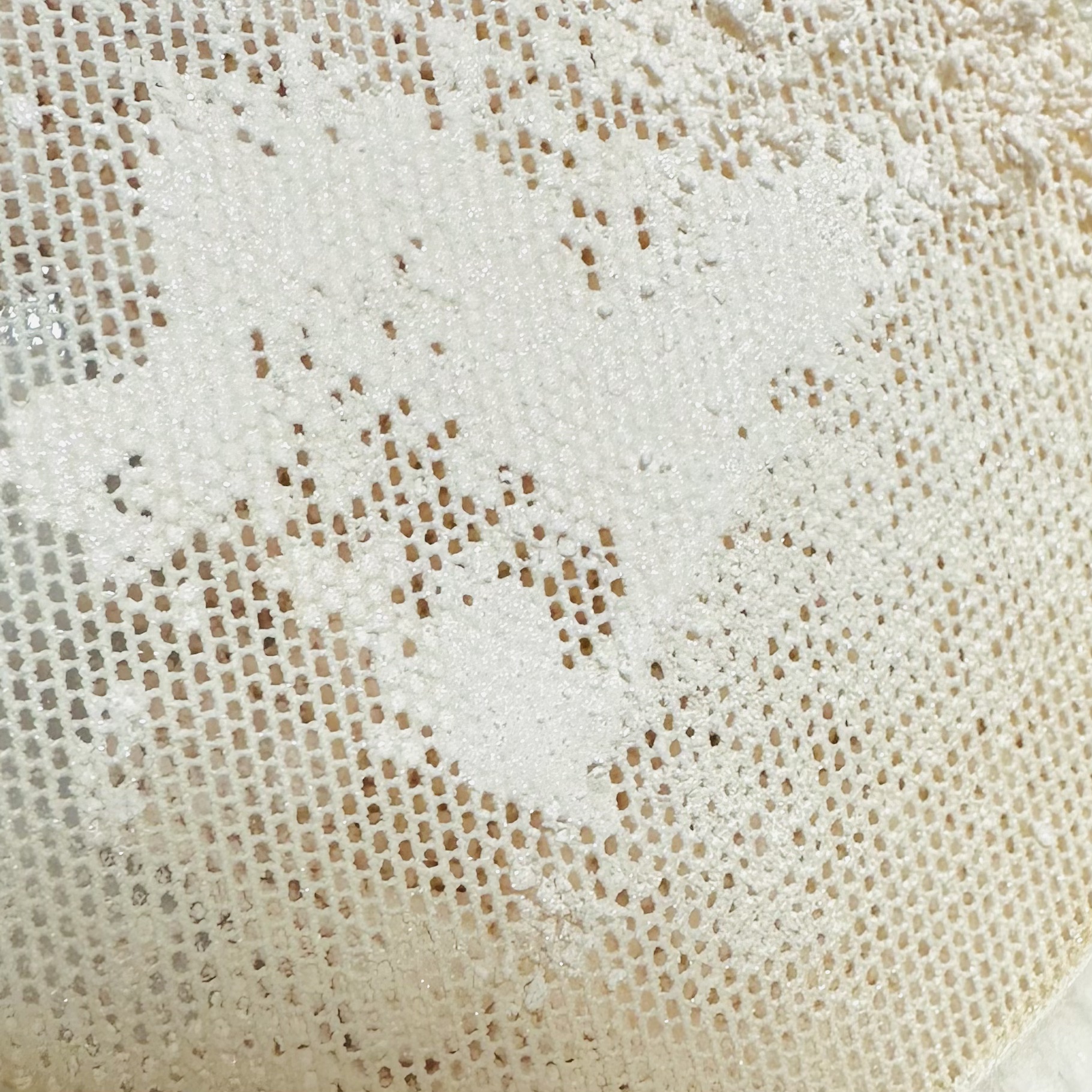 ミネラルリフレクティングスキンパウダー/エトヴォス/ルースパウダーを使ったクチコミ（2枚目）