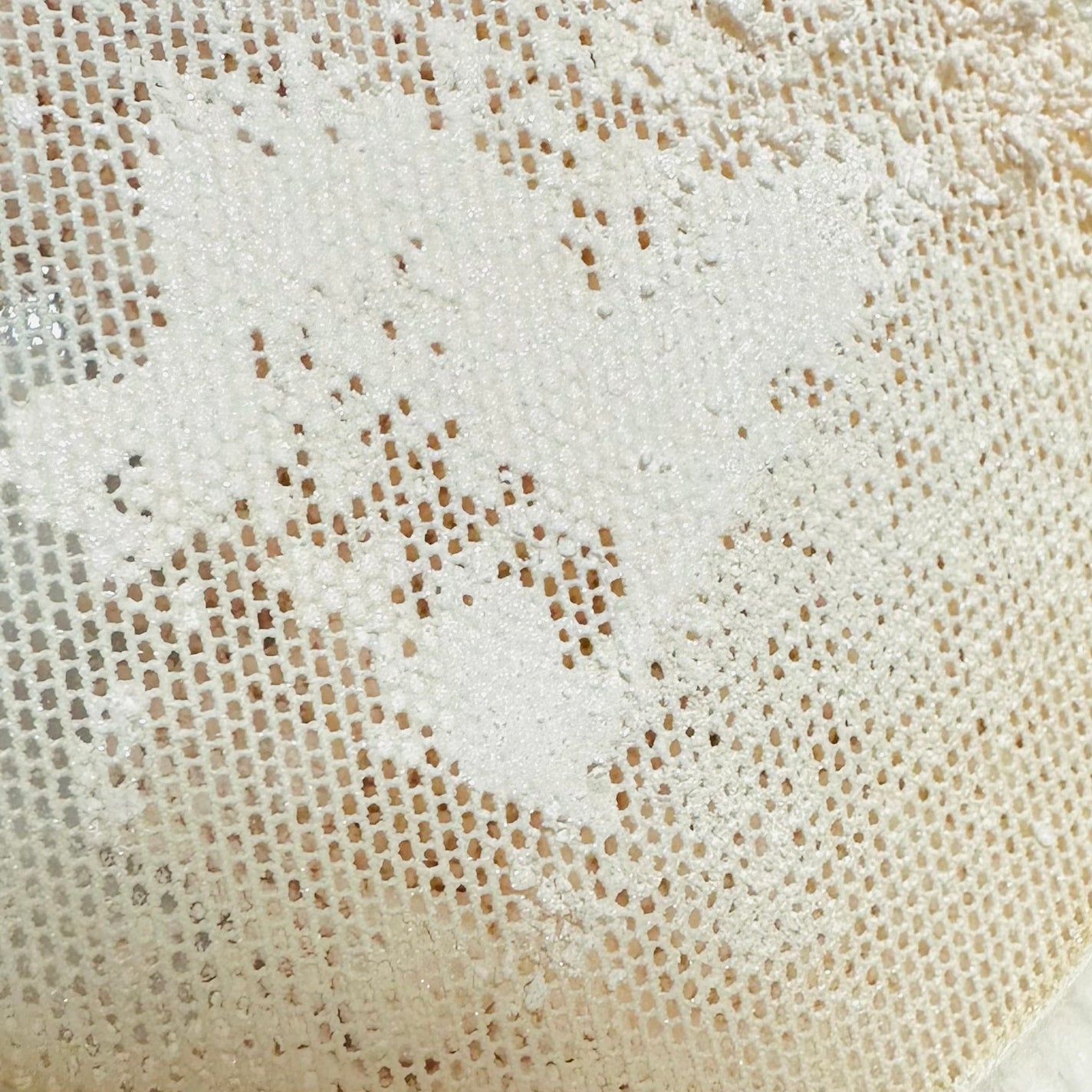 ミネラルリフレクティングスキンパウダー/エトヴォス/ルースパウダーを使ったクチコミ(2枚目)