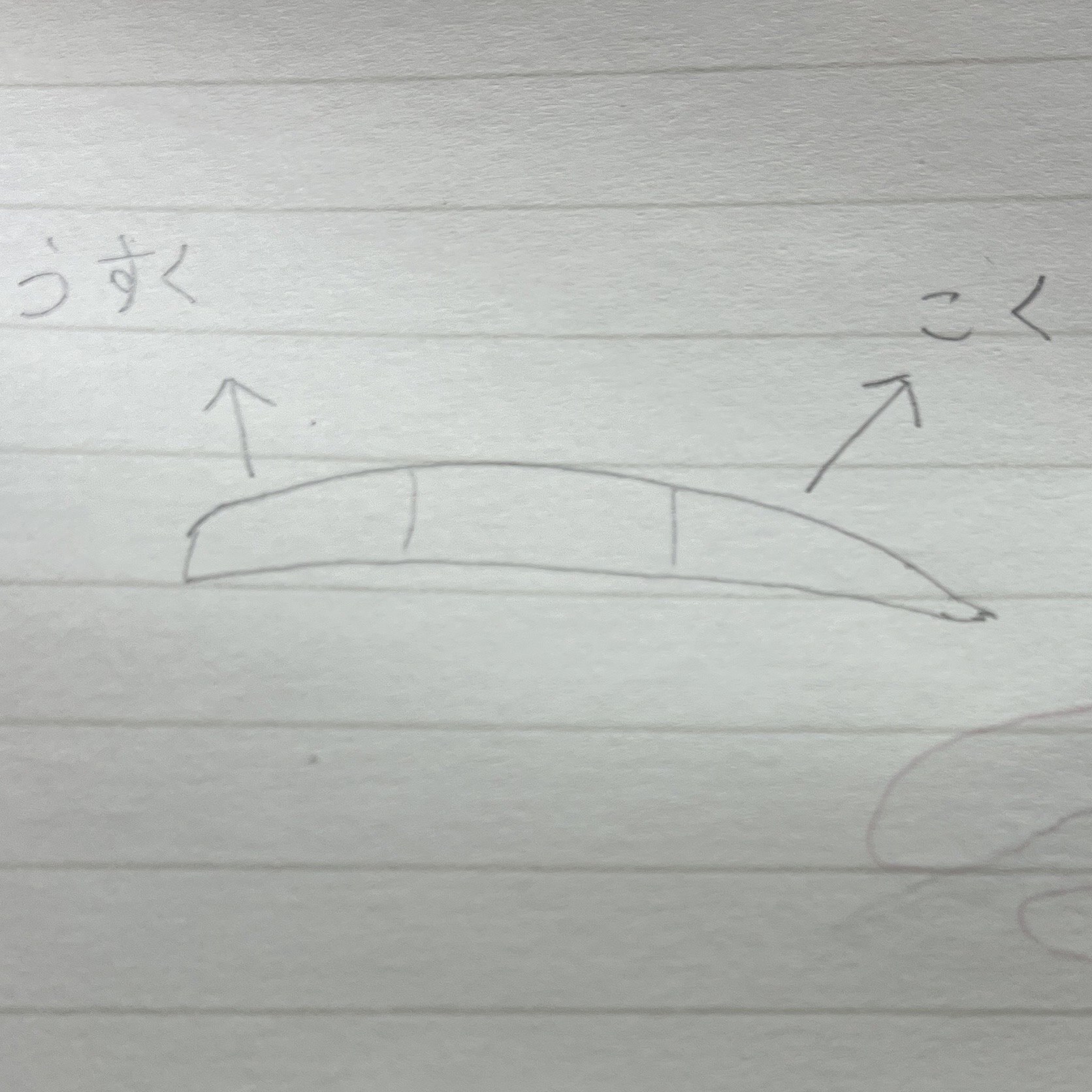 アイブロウコートEX/CEZANNE/アイブロウコートを使ったクチコミ（1枚目）