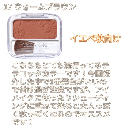 ナチュラル チークN/CEZANNE/パウダーチークを使ったクチコミ(5枚目)