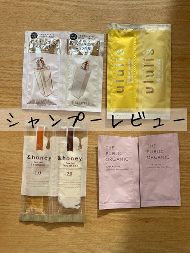 スーパーポジティブダメージRシャンプー／Rトリートメント/THE PUBLIC ORGANIC/シャンプー・コンディショナーを使ったクチコミ（1枚目）