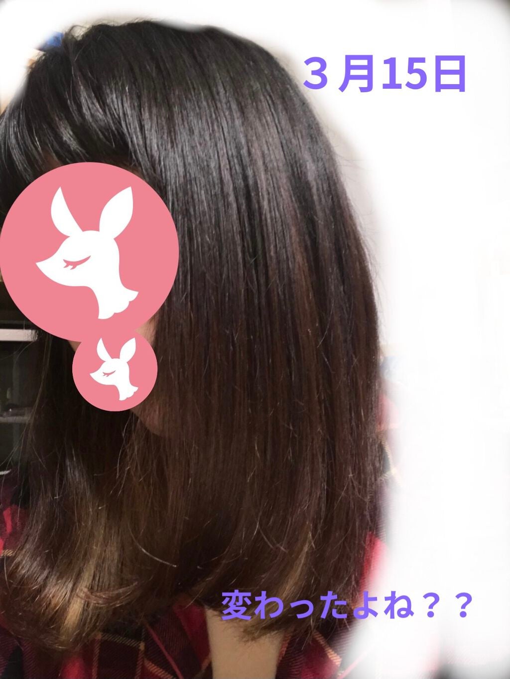 オーガニック シャンプー/トリートメント<ダメージリペア>/AROMA KIFI/シャンプー・コンディショナーを使ったクチコミ(3枚目)