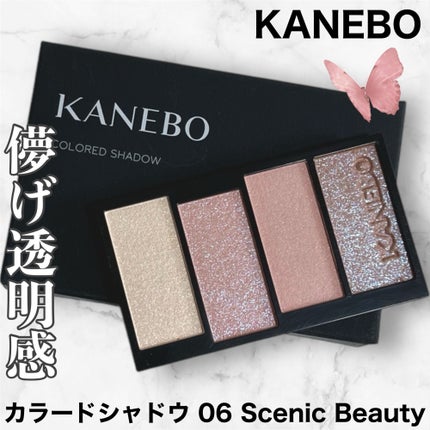 カラードシャドウ/KANEBO/アイシャドウパレットを使ったクチコミ(1枚目)