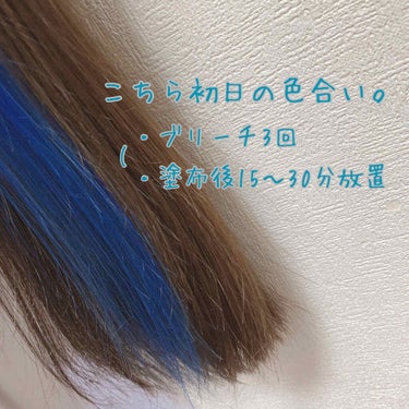 デビルズトリック マーメイドブルー/クイスクイス/ヘアカラーを使ったクチコミ（2枚目）