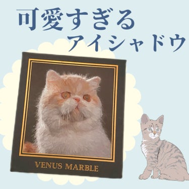 Venus Marble アイシャドウキャットシリーズ/Venus Marble/アイシャドウパレットを使ったクチコミ（1枚目）