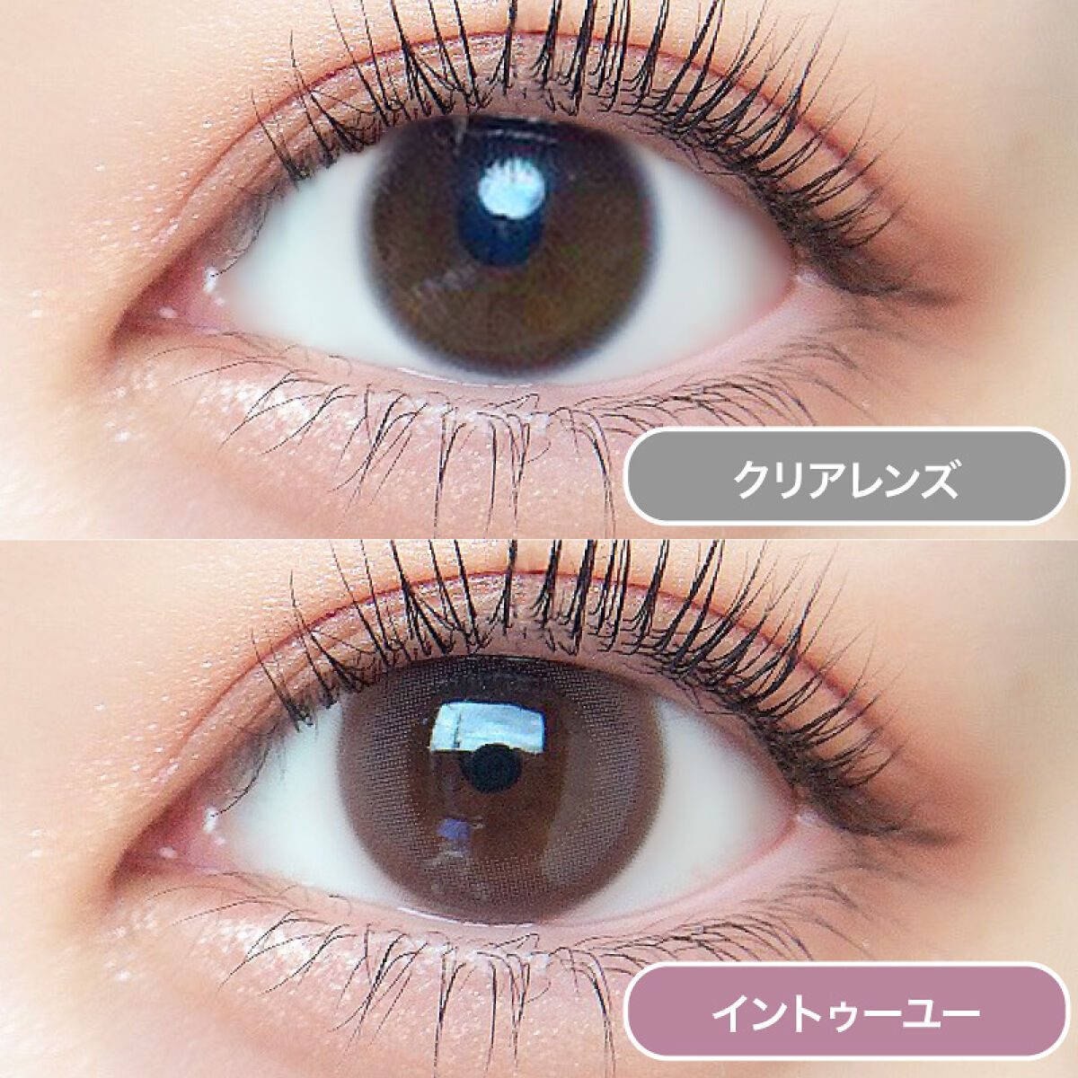 ルイ バイ カラーマジョリティー  イントゥーユー