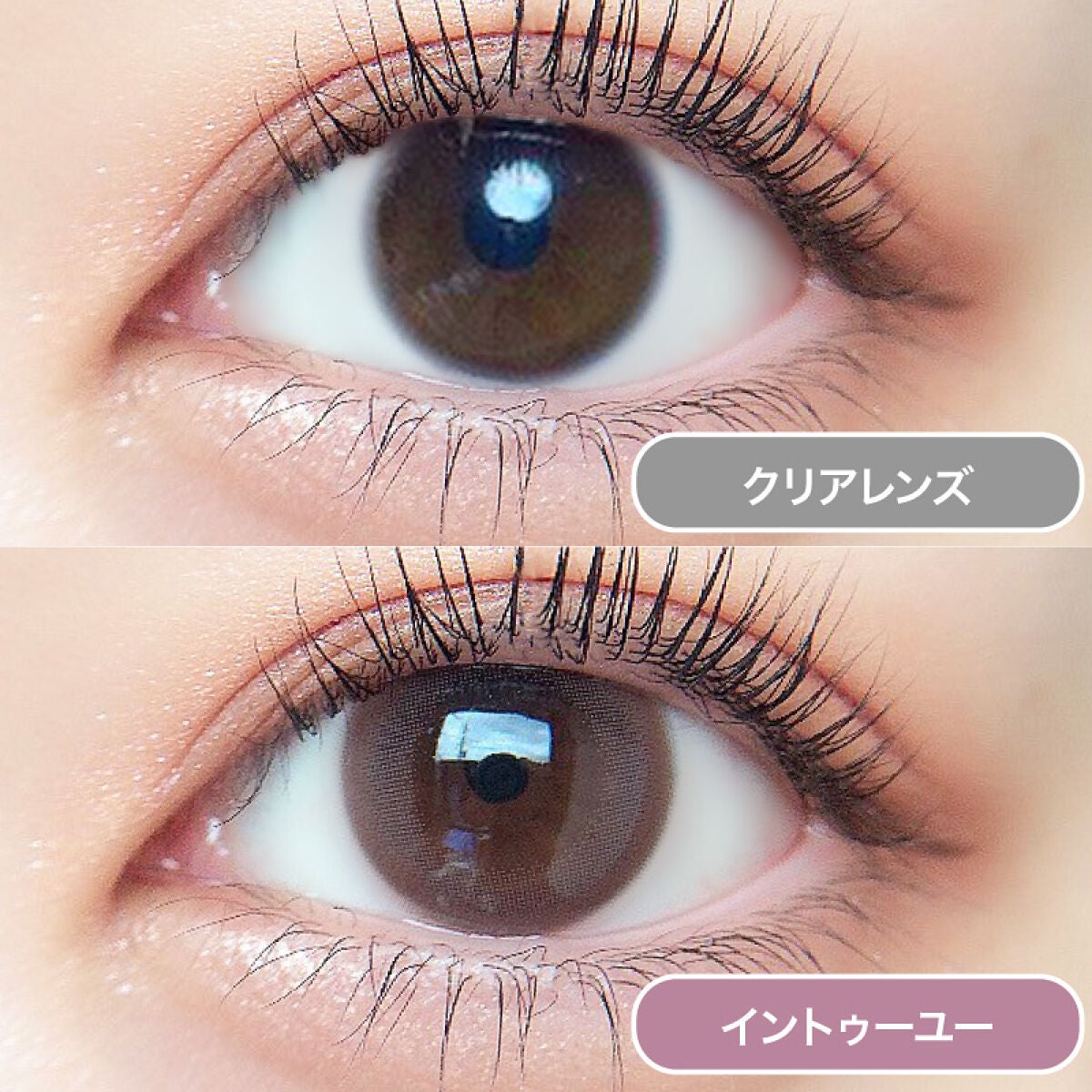 ルイ バイ カラーマジョリティー イントゥーユー