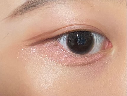 プティパレットアイズ/キャンメイク/パウダーアイシャドウを使ったクチコミ(3枚目)