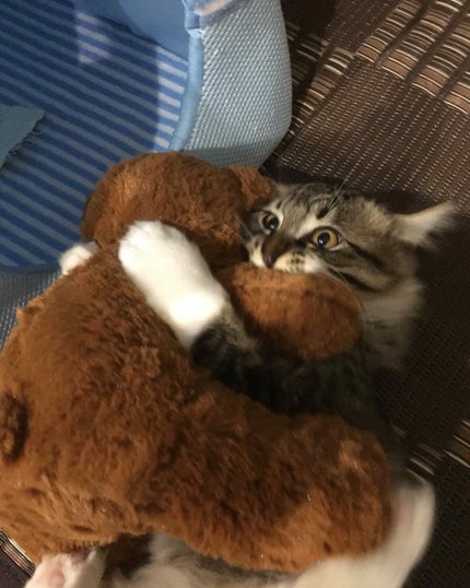 を使ったクチコミ(1枚目)