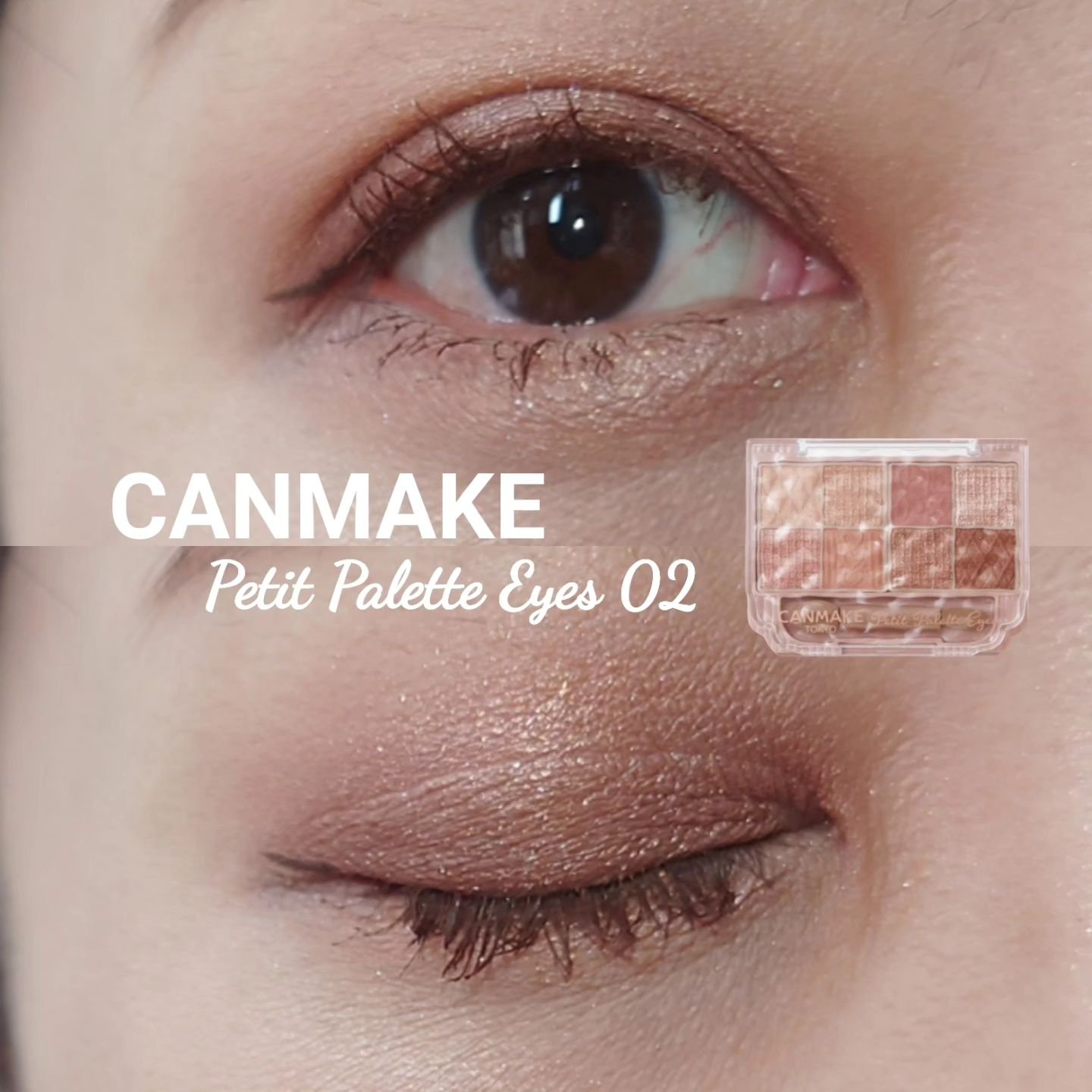 プティパレットアイズ/キャンメイク/パウダーアイシャドウを使ったクチコミ（1枚目）