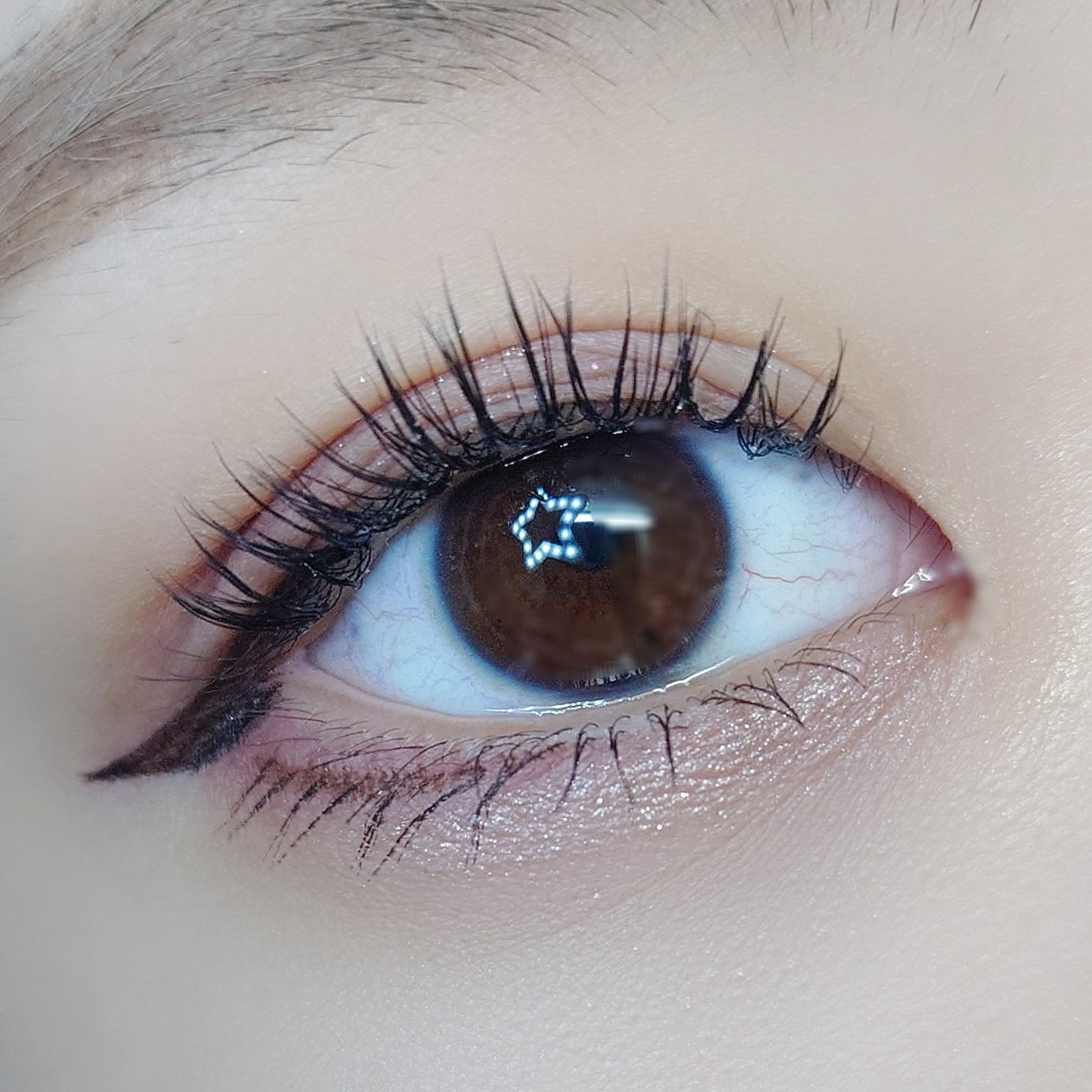 オリジナル 10mm Bold 1柱/CCAM BBAK/つけまつげを使ったクチコミ(5枚目)