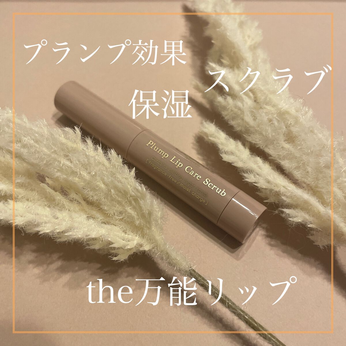 プランプリップケアスクラブ/キャンメイク/リップスクラブを使ったクチコミ（1枚目）